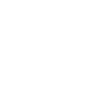 株式会社SAP | 会社概要